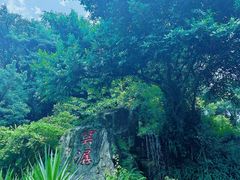 -广州市白云山风景名胜区