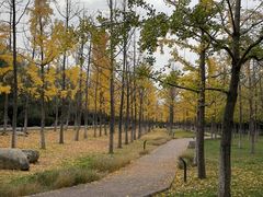 -汉长安城未央宫国家考古遗址公园