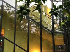 -三鹰之森吉卜力美术馆