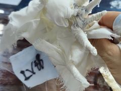 -璞真扎染博物馆