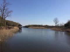 -黄海国家森林公园