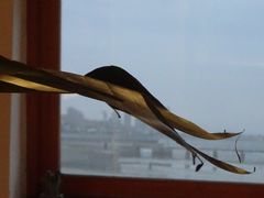 -ChanDu躔度咖啡(灯塔店)