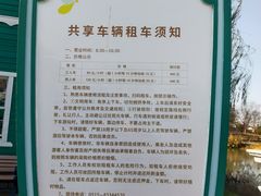 -荷兰花海
