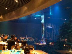-海棠湾洲际-涛·海底餐厅·美人鱼·自助餐·海底隧道