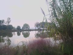 -东湖落雁景区