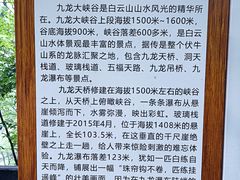 -洛阳白云山景区