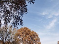 -河南省黄河迎宾馆