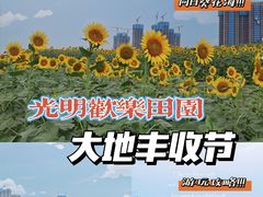 -光明小镇欢乐田园