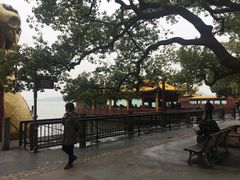 -西湖外事游船(湖滨二公园外事游船码头)