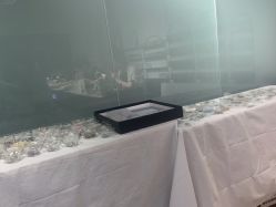 -丽心自助美甲美睫