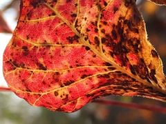 -北京西山国家森林公园