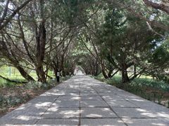 -洛阳古墓博物馆