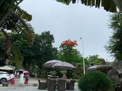 -厦门园林植物园-植物园滴水山房