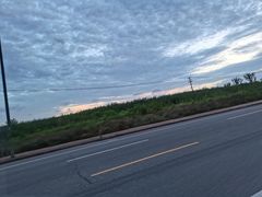 -漕湖湿地公园