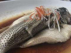 鲈鱼-悦真雅院·四合院·清真私房菜(雍和宫店)