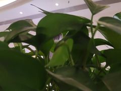 -王府井酒店(金桥港湾店)