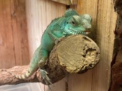 -上海大自然野生昆虫馆
