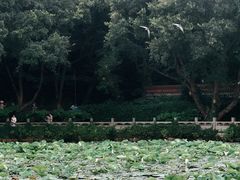 -普陀山风景名胜区-法雨禅寺