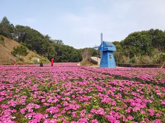 -广州市流溪河国家森林公园