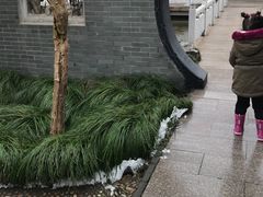 -梅园
