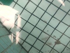 -南宫温泉水世界