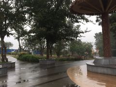 -铁山坪森林公园