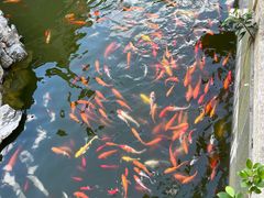 -金新街边打边炉(天安花园店)