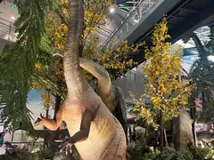 -湖南省地质博物馆