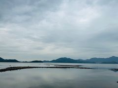 -四明湖