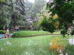 -静安公园(静安寺街道)