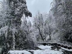 -龙苍沟森林公园