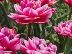 -国家植物园