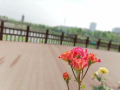 -西海子公园