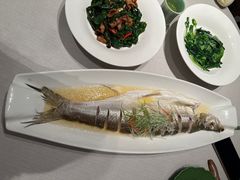 -绿杨春甄选(兴隆大街店)