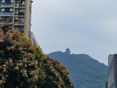 -胖子饭店(兴学弄店)