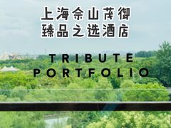-上海佘山世茂艾美酒店