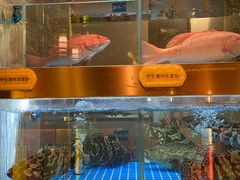 -ONE FULL 古董港式海鲜火锅