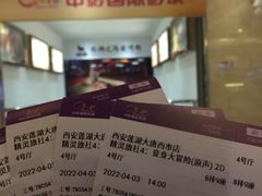 -中影国际影城(大唐西市4K临境音店)