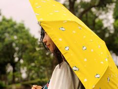 -上海滴水湖皇冠假日酒店