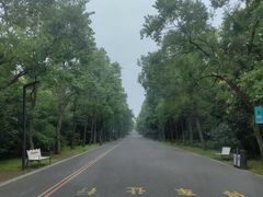 -江苏三台山国家森林公园