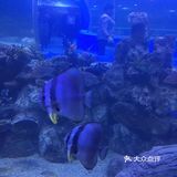 感觉那是一个神秘而浪漫的地方,老幻想一次说走就走的旅行