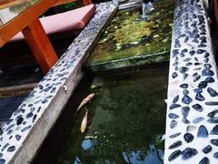 -丽江庭院之爱在路上(西单店)
