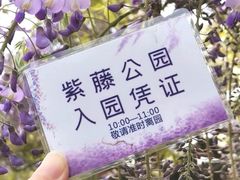 -嘉定紫藤园