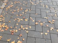 -香山公园-东宫门售票处