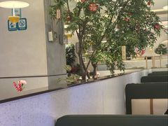 -Aqua Oasis 水天堂(太湖中心mall店)
