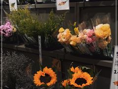 -鹿岛会员店(熙地港店)