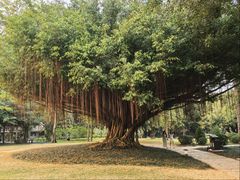 -南宁南湖公园