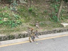 -黔灵山公园