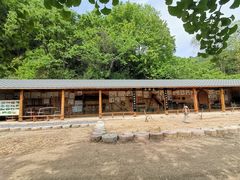 -千年银杏谷文化旅游区