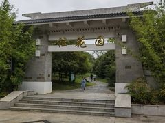-宜兴龙背山森林公园